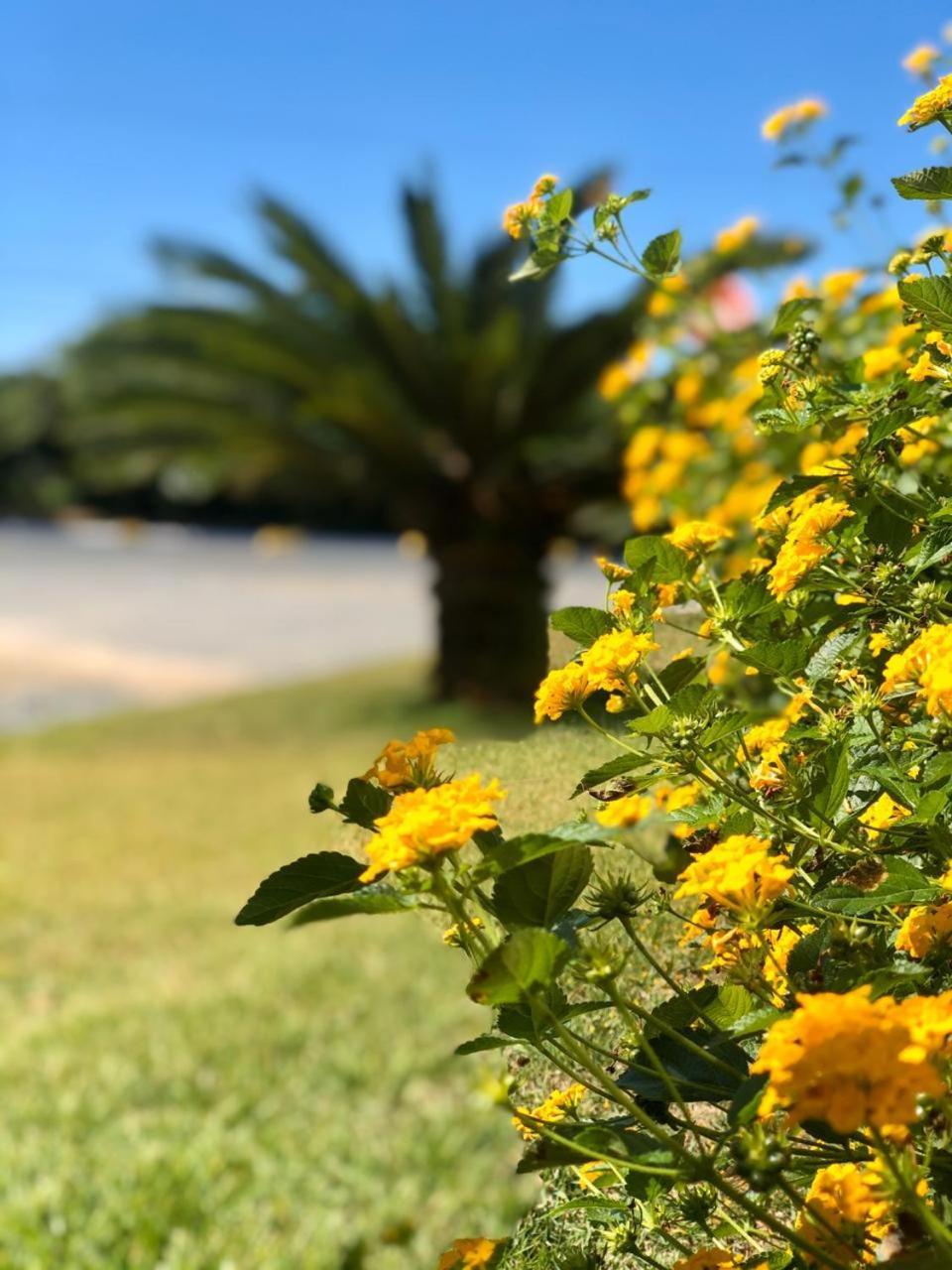 Reserva Praia Hotel Balneário Camboriú エクステリア 写真